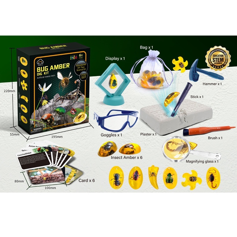 Archaeological Digging Educational Toys For Kids